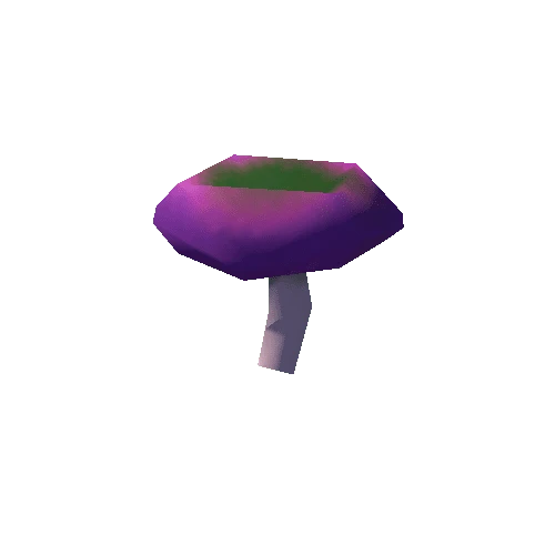 Small Mushroom_t1